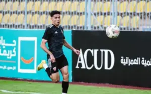 توفيق محمد