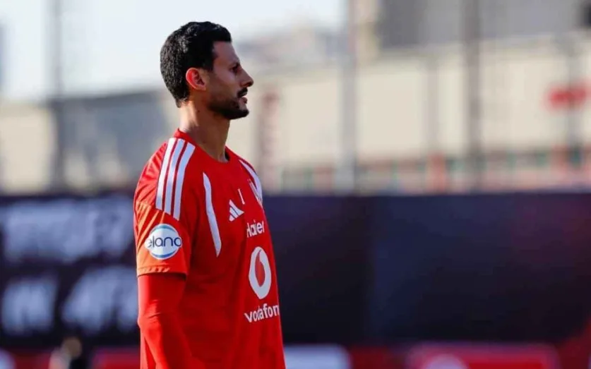 محمد الشناوي