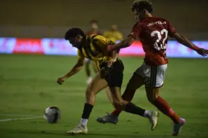 الأهلي والمقاولون