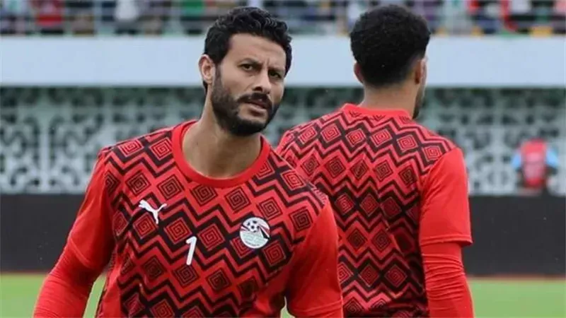 محمد الشناوي